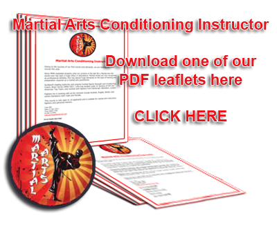 Martial Arts Conditioning Instructor